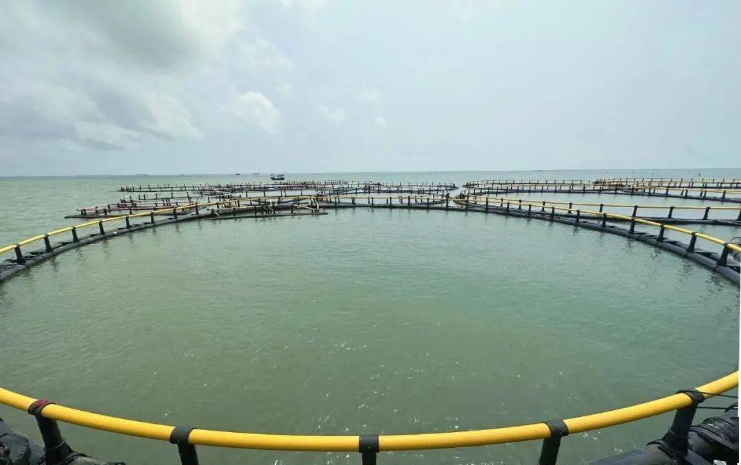 海域牧场实时防盗、防污染动态监视监测系统解决计划